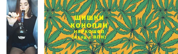 соль ск Арсеньев
